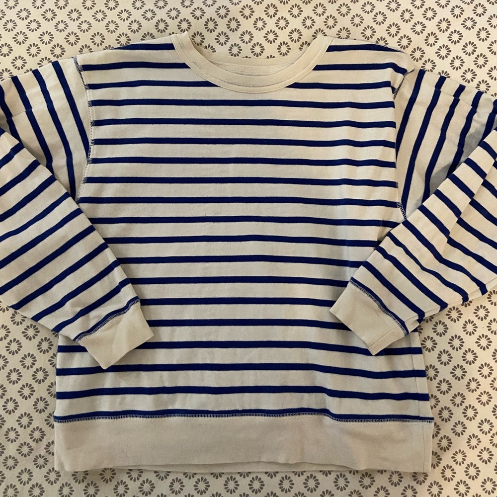 Entireworld Cropped Sweatshirt in Blue / White Stripe